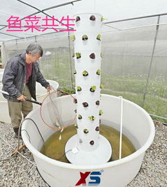 魚(yú)菜共生塑料桶養(yǎng)殖桶催芽桶周轉(zhuǎn)箱PE桶迅升方箱