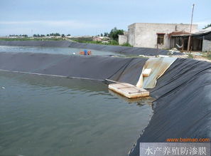 供應(yīng)防滲膜 養(yǎng)殖膜 水產(chǎn)養(yǎng)殖膜,供應(yīng)防滲膜 養(yǎng)殖膜 水產(chǎn)養(yǎng)殖膜生產(chǎn)廠家,供應(yīng)防滲膜 養(yǎng)殖膜 水產(chǎn)養(yǎng)殖膜價(jià)格