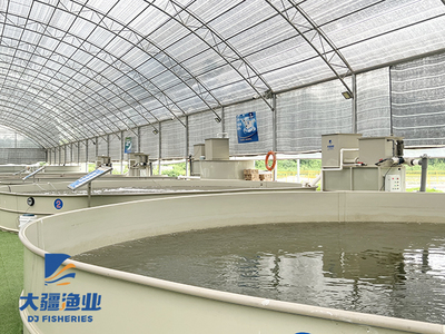 智慧漁業(yè)讓水產(chǎn)養(yǎng)殖更智能,拿著手機(jī)也能養(yǎng)魚(yú)