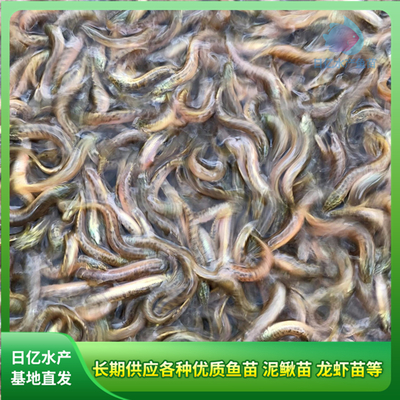 產(chǎn)品圖片_廣州市花都區(qū)赤坭日億水產(chǎn)魚(yú)苗養(yǎng)殖場(chǎng)